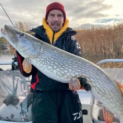 Daiwa PX Lazy Shad -Daiwa 32 217472r 3