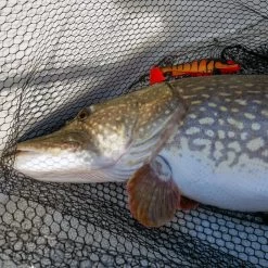 Daiwa PX Lazy Shad -Daiwa 32 217472r 4